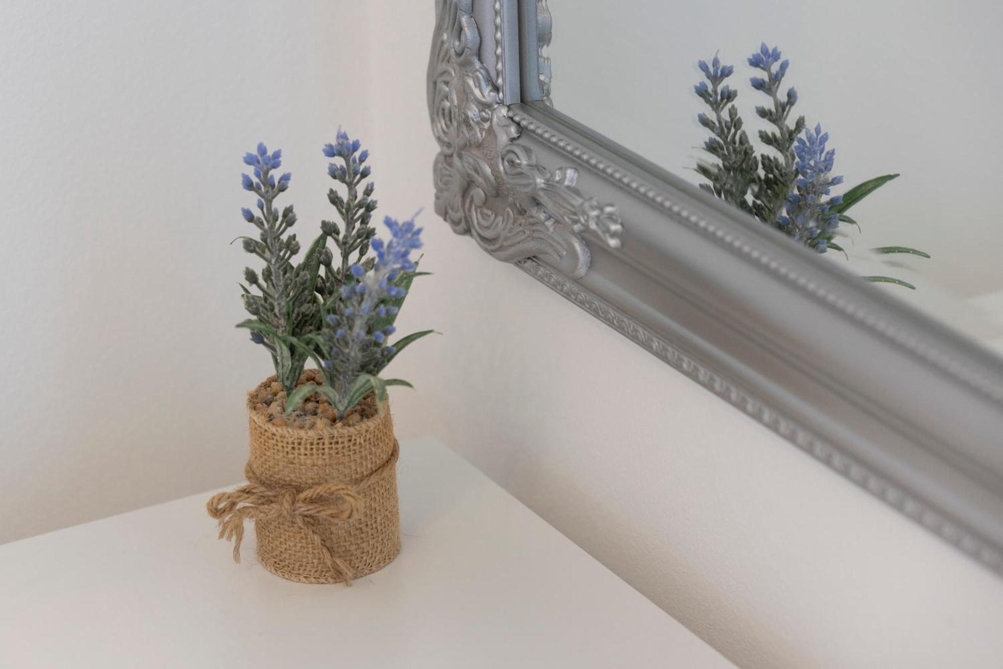 Villa Violic 자톤 외부 사진